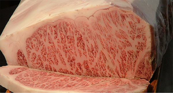 ものづくり・ひとづくりのまち山形県長井市